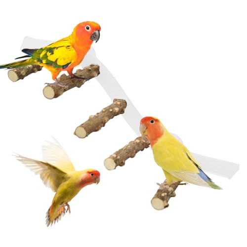 Vogelsitzhalter Mit Saugnapf - Spielplatz Für Nymphensittiche - Saugnapf-Duschstange für Papageien Wellensittiche Nymphensittiche mit Platzsparendem Vogelkäfig Design von Wpsagek