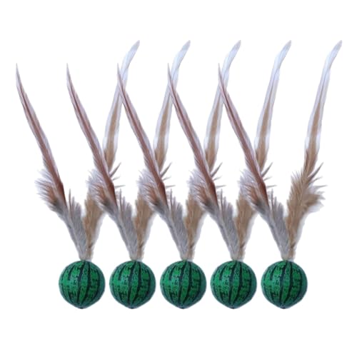 Wpsagek Katzenfederkugel, Federball Katzenspielzeug - Gelangweilte Haustierkatzen interaktiver Bouncy Feder Ball | Multifunktional Kätzchen Indoor Pet Entertainment Favorit für Familien, Freunde Wpsagek Katzenfederkugel, Federball Katzenspielzeug - Gelangweilte Haustierkatzen interaktiver Bouncy Feder Ball | Multifunktional Kätzchen Indoor Pet Entertainment Favorit für Familien, Freunde von Wpsagek