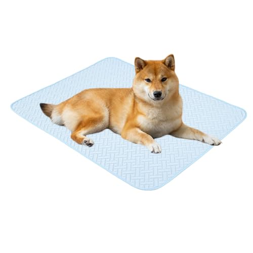 Wpsagek Kühlmatte Für Katzen,Kühlmatte Hundebett Atmungsaktive Schlafdecke | Atmungsaktive Schlafmatte Für Tierkörbe & Haustierzubehör Bei Für Picknick, Park & Wpsagek Kühlmatte Für Katzen,Kühlmatte Hundebett Atmungsaktive Schlafdecke | Atmungsaktive Schlafmatte Für Tierkörbe & Haustierzubehör Bei Für Picknick, Park & von Wpsagek