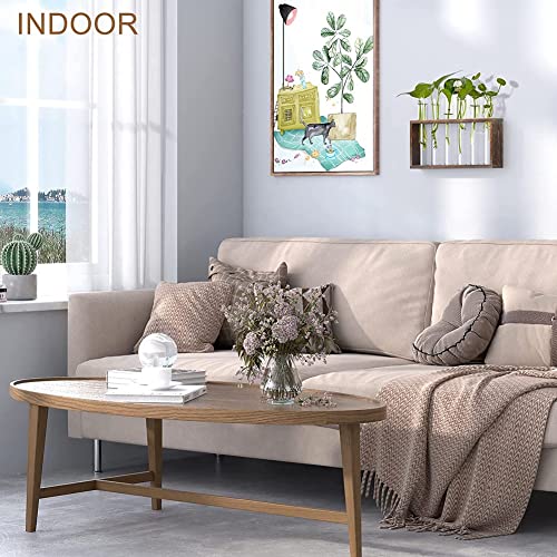 Wresetly Pflanzen Terrarium mit StäNder, Tisch-/Wandbehang, Vermehrung Station für Lebende Pflanzen, GefäßE, Glas RöHrchen, Hydroponisch Wresetly Pflanzen Terrarium mit StäNder, Tisch-/Wandbehang, Vermehrung Station für Lebende Pflanzen, GefäßE, Glas RöHrchen, Hydroponisch von Wresetly