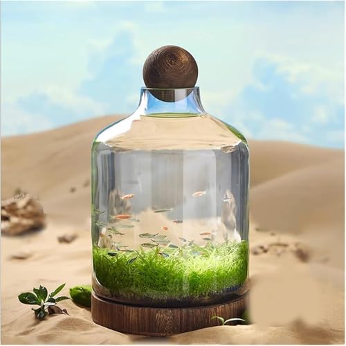 Mikro-Landschaft, Glasflasche, ökologische Kultur, selbstzirkulierend, kleines Pflanzgefäß mit Holzsockel, Schreibtisch-Ornament für Zuhause, Büro (Größe: L) von Wrobelax
