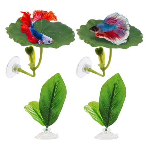Betta Fish Leaves, Adjustable Suction Cup Hammock, Soft Simulated Fish Resting Pad, Stress-Reducing Betta Plant Leaf, Ideal for Breeding, Sleeping, and Improving Health in Aquariums Betta Fish Leaves, Adjustable Suction Cup Hammock, Soft Simulated Fish Resting Pad, Stress-Reducing Betta Plant Leaf, Ideal for Breeding, Sleeping, and Improving Health in Aquariums von Wrohto