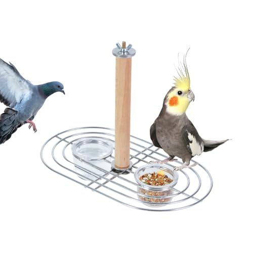 Vogelnäpfe zum Aufhängen, transparent, mit Sitzstange, 24,6 x 14,6 x 16 cm, stabile Futterbecher für Sittiche, Wellensittiche, Graupapageien, Finken, Sittiche, Aras, Sonnenvögel, Deck, Hinterhof von Wrohto