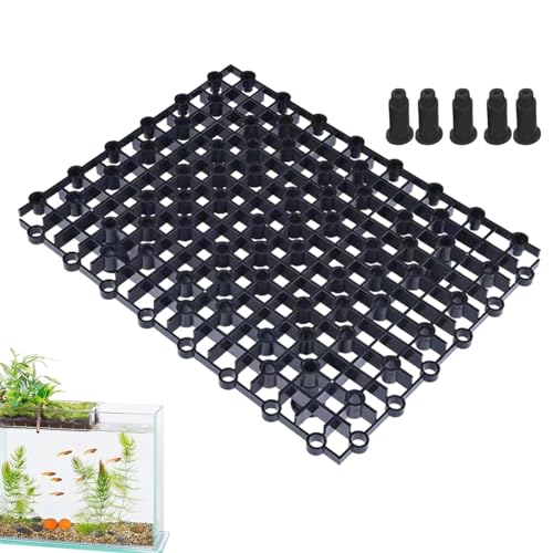 Wrohto Bodenfilter für Schildkrötenbecken – Quadratischer Bodenfilter Aquarium Filterplatte – Aquarium-Zubehör, starke Tragfähigkeit, kleines Haustierzubehör für kleine Reptilien Wrohto Bodenfilter für Schildkrötenbecken – Quadratischer Bodenfilter Aquarium Filterplatte – Aquarium-Zubehör, starke Tragfähigkeit, kleines Haustierzubehör für kleine Reptilien von Wrohto