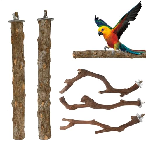 Wrohto Vogel-Sitzstangen für, 5 Stück, natürliche Vogel- -Sitzstange, Sittichkäfig-Sitzstange, Aras, Zubehör für kleine oder mittelgroße, Sittiche, 25 cm Wrohto Vogel-Sitzstangen für, 5 Stück, natürliche Vogel- -Sitzstange, Sittichkäfig-Sitzstange, Aras, Zubehör für kleine oder mittelgroße, Sittiche, 25 cm von Wrohto