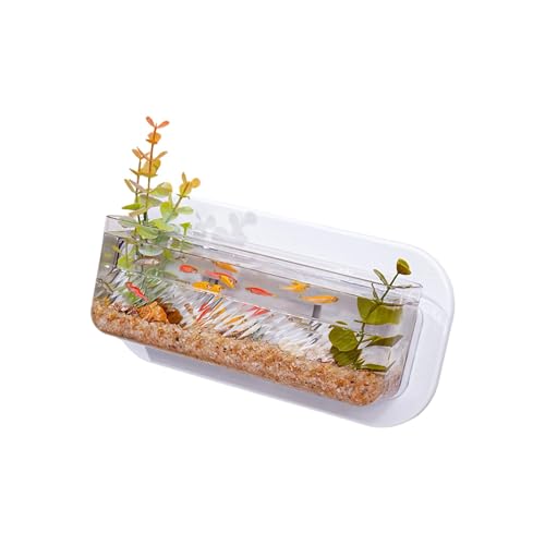 Klarer Kunststoff Wandfischschale Hydroponische Wandregal Aquarien Fischtanks Wohnzimmer Wanddekoration Klarer Kunststoff Wandfischschale Hydroponische Wandregal Aquarien Fischtanks Wohnzimmer Wanddekoration von Wsdsgz