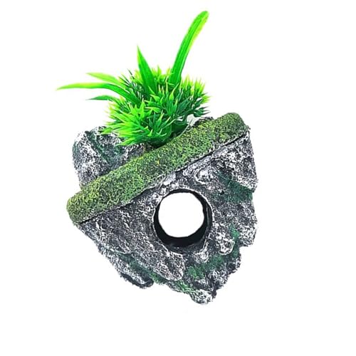 Wsdsgz Aquarien Versteckte Versteck Heilte Höhlenfischtanks Landschaftsbau Für Garnelenzüchtung Versteck Ornamente Einfaches Handwerk Wsdsgz Aquarien Versteckte Versteck Heilte Höhlenfischtanks Landschaftsbau Für Garnelenzüchtung Versteck Ornamente Einfaches Handwerk von Wsdsgz