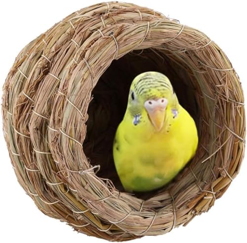 Wttagkl Vogelnestgras, Vogelnestgras, handgewebter Vogelkäfig, verschleißfest, Vogelnest, kann im Freien aufgehängt Werden, verwendet für Amseln, Kolibris und Wellensittiche,6 Stück-12cm*12cm*12cm von Wttagkl