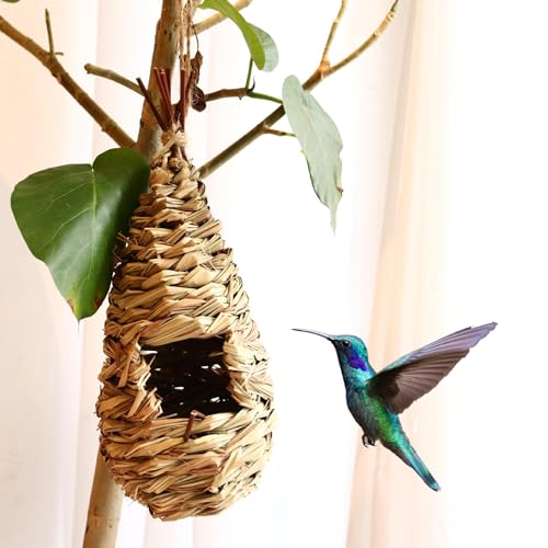 Wttagkl Vogelnestgras, Vogelnestgras, handgewebter Vogelkäfig, verschleißfest, Vogelnest, kann im Freien aufgehängt Werden, verwendet für Amseln, Kolibris und Wellensittiche,Heufarbe-6 Stück von Wttagkl