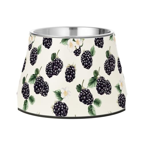 Beauty Brombeeren Obst weiße Schalen für Haustiere mit Ständer Edelstahl Katzen Futternapf für kleine Haustiere langsames Fressen Beauty Brombeeren Obst weiße Schalen für Haustiere mit Ständer Edelstahl Katzen Futternapf für kleine Haustiere langsames Fressen von Wudan