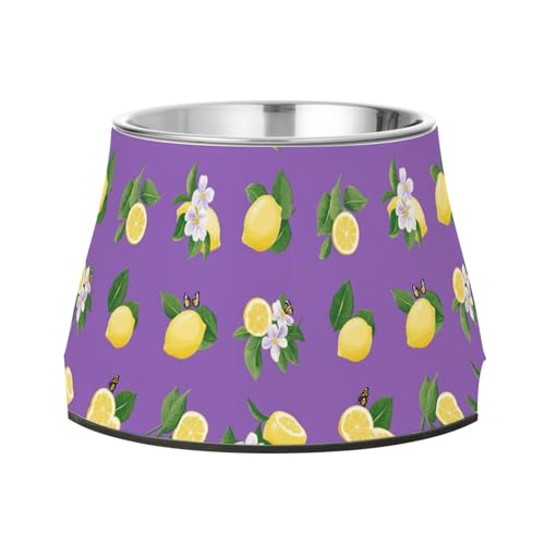 Beauty Futternapf für Haustiere, Zitronenfrucht, rutschfest, Edelstahl, für langsames Füttern, Schnurrhaar, Müdigkeit Beauty Futternapf für Haustiere, Zitronenfrucht, rutschfest, Edelstahl, für langsames Füttern, Schnurrhaar, Müdigkeit von Wudan