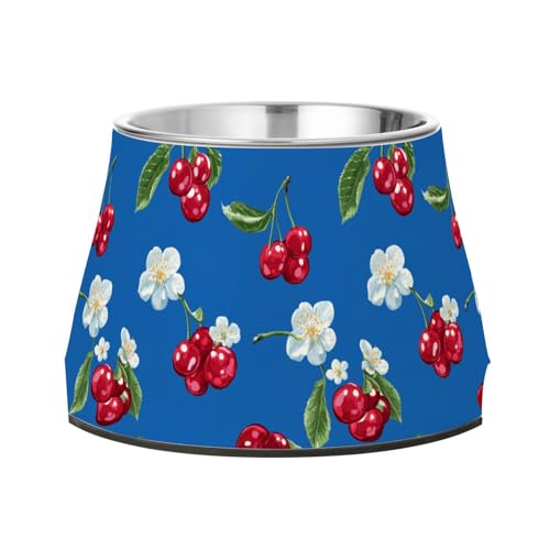 Frischer Cornelian Cherry Fruit Royal Blue Pets Futternapf Erhöhter Edelstahl Katzen Futternapf für langsames Füttern Katzen Komfort Fütterung Frischer Cornelian Cherry Fruit Royal Blue Pets Futternapf Erhöhter Edelstahl Katzen Futternapf für langsames Füttern Katzen Komfort Fütterung von Wudan