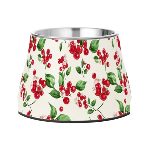 Frischer Futternapf für Hunde, Büffelbeeren, Obst, rutschfest, Edelstahl, für bequemes Füttern von Haustieren Frischer Futternapf für Hunde, Büffelbeeren, Obst, rutschfest, Edelstahl, für bequemes Füttern von Haustieren von Wudan