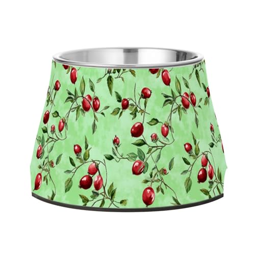 Frischer Rosen-Hip Obst-Grüner Futternapf für Haustiere, rutschfest, Edelstahl, Futternapf für Hunde, Katzen, Kaninchen, Vögel, Schnurrhaar, Entlastung von Wudan