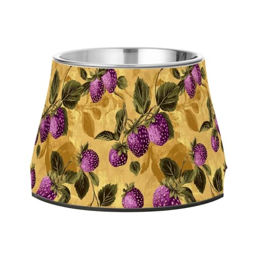 Sweet Dewberry Fruit Goldnapf für Haustiere, erhöhter Edelstahlnapf für Haustiere, einfache Schalen für die Liebe von Haustier-Schnurrhaaren, Müdigkeit von Wudan