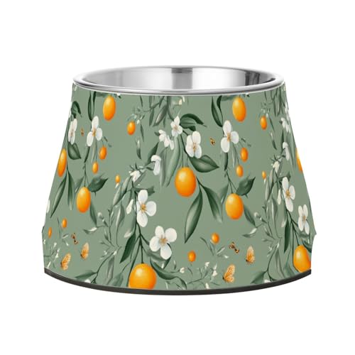 Sweet Kumquat Futternapf für Haustiere, erhöhter Edelstahl-Schüssel für mittelgroße Hunde, Salbeigrün von Wudan
