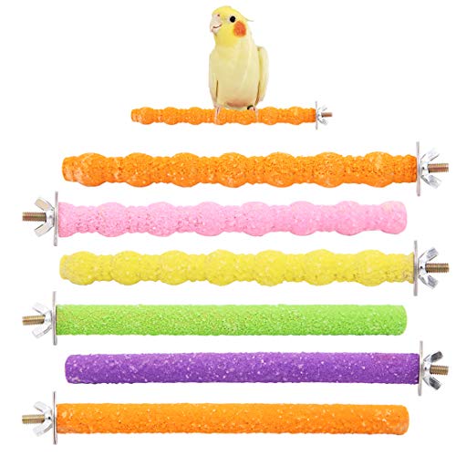 Wudong 6 Stück Papagei Barsche, Bunte Vogelkäfig Scrub Stand Bar für Vogel Papagei Wellensittiche Sittich Nymphensittiche Conure Lovebird Käfig Pfote Schleifspielzeug Wudong 6 Stück Papagei Barsche, Bunte Vogelkäfig Scrub Stand Bar für Vogel Papagei Wellensittiche Sittich Nymphensittiche Conure Lovebird Käfig Pfote Schleifspielzeug von Wudong