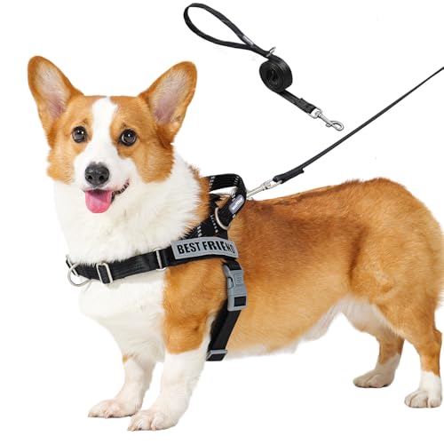 Wuffley Anti-Zug Hundegeschirr mit Leine, Hundegeschirr Kleine Mittelgroße Hunde, Geschirr Hund mit Griff und 2 Aufnähern, Reflektierendes, Leichtes Brustgeschirr Hund für Outdoor-Training（Schwarz，M von Wuffley