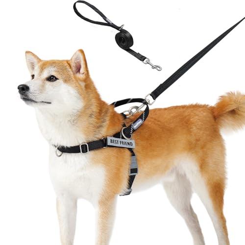 Wuffley Anti-Zug Hundegeschirr mit Leine, Hundegeschirr Kleine Mittelgroße Hunde, Geschirr Hund mit Griff und 2 Aufnähern, Reflektierendes, Leichtes Brustgeschirr Hund für Outdoor-Training（Schwarz，S von Wuffley