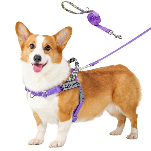 Wuffley Anti-Zug Hundegeschirr mit Leine, Hundegeschirr Kleine Mittelgroße Hunde, Geschirr Hund mit Griff und 2 Aufnähern, Reflektierendes, Leichtes Brustgeschirr Hund für Outdoor-Training（Lila，M von Wuffley
