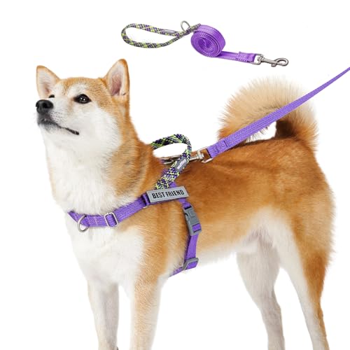 Wuffley Anti-Zug Hundegeschirr mit Leine, Hundegeschirr Kleine Mittelgroße Hunde, Geschirr Hund mit Griff und 2 Aufnähern, Reflektierendes, Leichtes Brustgeschirr Hund für Outdoor-Training（Lila，S von Wuffley