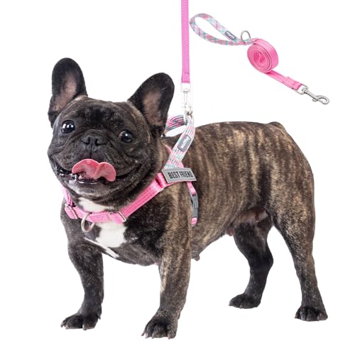 Wuffley Anti-Zug Hundegeschirr mit Leine, Hundegeschirr Kleine Mittelgroße Hunde, Geschirr Hund mit Griff und 2 Aufnähern, Reflektierendes, Leichtes Brustgeschirr Hund für Outdoor-Training（Rosa，S von Wuffley
