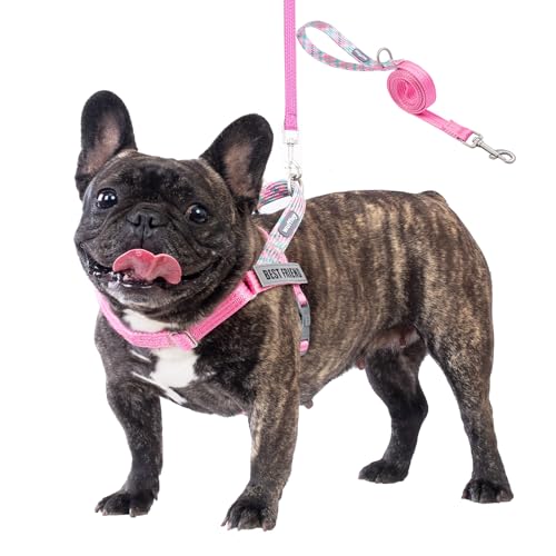 Wuffley Anti-Zug Hundegeschirr mit Leine, Hundegeschirr Kleine Mittelgroße Hunde, Geschirr Hund mit Griff und 2 Aufnähern, Reflektierendes, Leichtes Brustgeschirr Hund für Outdoor-Training（Rosa，XS von Wuffley