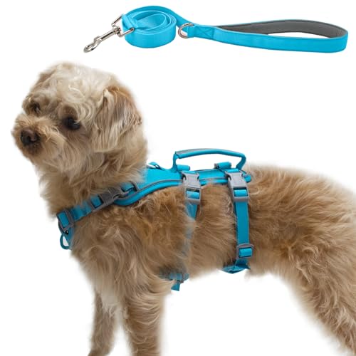 Wuffley Hundegeschirr mit Leine, Sicherheitsgeschirr Hund Ausbruchsicher, Anti Zug Hundegeschirr mit Assistenzgriff und Reflektierende, Leichtes Verstellbare Geschirr für Mittelgroße Hunde (Blau,S) von Wuffley