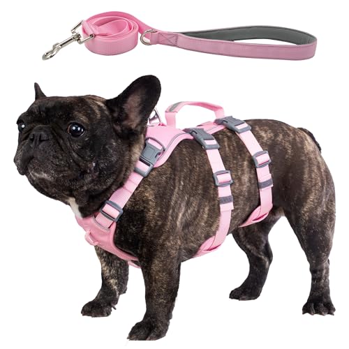 Wuffley Hundegeschirr mit Leine, Sicherheitsgeschirr Hund Ausbruchsicher, Anti Zug Hundegeschirr mit Assistenzgriff und Reflektierende, Leichtes Verstellbare Geschirr für Mittelgroße Hunde (Rosa,M) von Wuffley