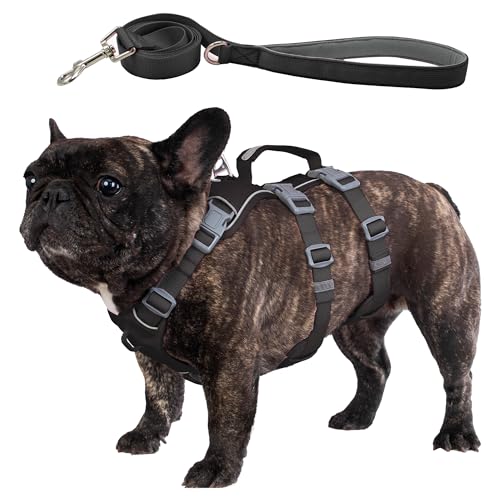 Wuffley Hundegeschirr mit Leine, Sicherheitsgeschirr Hund Ausbruchsicher, Anti Zug Hundegeschirr mit Assistenzgriff und Reflektierende, Leichtes Verstellbare Geschirr für Mittelgroße Hunde(Schwarz,M) von Wuffley