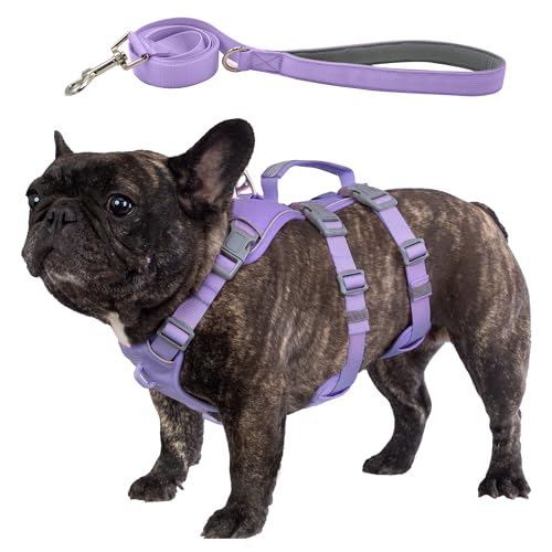 Wuffley Hundegeschirr mit Leine, Sicherheitsgeschirr Hund Ausbruchsicher, Anti Zug Hundegeschirr mit Assistenzgriff und Reflektierende, Leichtes Verstellbare Geschirr für Mittelgroße Hunde (Lila,M) von Wuffley