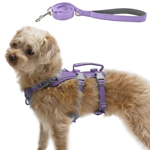 Wuffley Hundegeschirr mit Leine, Sicherheitsgeschirr Hund Ausbruchsicher, Anti Zug Hundegeschirr mit Assistenzgriff und Reflektierende, Leichtes Verstellbare Geschirr für Mittelgroße Hunde (Lila,XS) von Wuffley