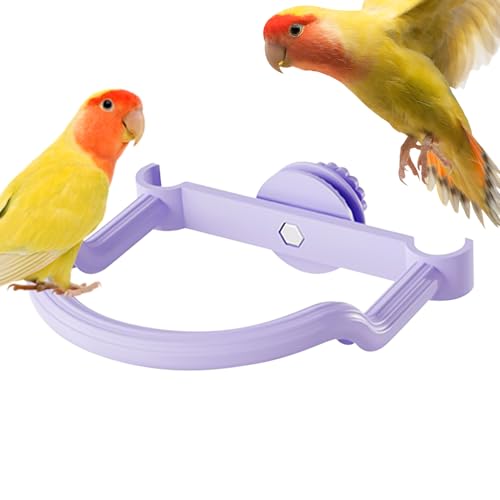 Wusideday Bird Perch,Sitzstangen Für Großvögel - wasserdichte Standplatz Haustierzubehör Für Nymphensittich Conure Unzertrennlicher Fink Ara Kletterübungen Pflege Wusideday Bird Perch,Sitzstangen Für Großvögel - wasserdichte Standplatz Haustierzubehör Für Nymphensittich Conure Unzertrennlicher Fink Ara Kletterübungen Pflege von Wusideday
