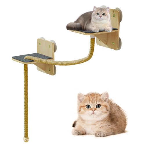 Wusideday Wandregale Für Katzen,Stabiler Und Sicherer Kletterbaum Möbel Set - Natürliche Klettertürme Spielbereich Treppen Für Indoor Spiel Wusideday Wandregale Für Katzen,Stabiler Und Sicherer Kletterbaum Möbel Set - Natürliche Klettertürme Spielbereich Treppen Für Indoor Spiel von Wusideday