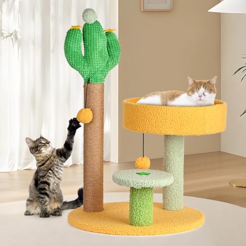 Katzen Kleine Katzenkratzer Pfosten für Indoor Katzen von Wuudi