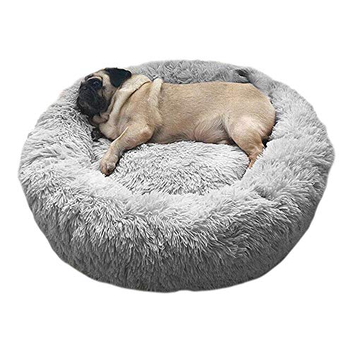 Wuudi Haustierbett 50 cm Hundebett Katzenbett Rund Weich und Weich für Haustiere/ Welpen/ Haustier/ Katzenbett in Doughnut-Form Hellgrau Wuudi Haustierbett 50 cm Hundebett Katzenbett Rund Weich und Weich für Haustiere/ Welpen/ Haustier/ Katzenbett in Doughnut-Form Hellgrau von Wuudi