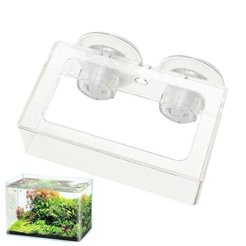 Wuyooprt Garnelenfuttergericht, Fischfutterfuttermittel - Nonrutschfischtank-Feeder mit Saugnapfbecher | Wiederverwendbare Aquariumversorgung, rotierende langsame Vorschubplatte für Guppy, Betta Wuyooprt Garnelenfuttergericht, Fischfutterfuttermittel - Nonrutschfischtank-Feeder mit Saugnapfbecher | Wiederverwendbare Aquariumversorgung, rotierende langsame Vorschubplatte für Guppy, Betta von Wuyooprt