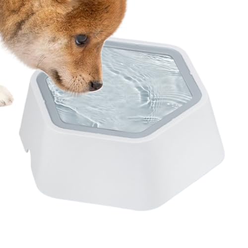 Wuyooprt Katzen-Wassernapf | Wasserspender auslaufsicher | Anti-Rutsch-Spender für unordentliche Trinker Indoor Outdoor Haustier Tier Welpen Wuyooprt Katzen-Wassernapf | Wasserspender auslaufsicher | Anti-Rutsch-Spender für unordentliche Trinker Indoor Outdoor Haustier Tier Welpen von Wuyooprt