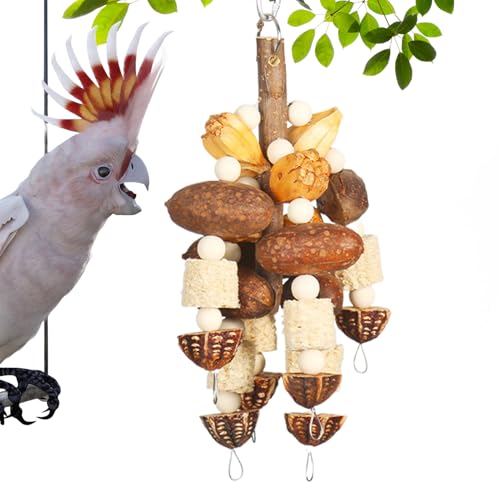 Wuyooprt Papageienspielzeug, Kau-Sittichspielzeug für Käfig, natürliche Nussschnur, Käfigzubehör, interaktive Spiele für Conure, Lovebird, Aras, Finken, Mynah von Wuyooprt