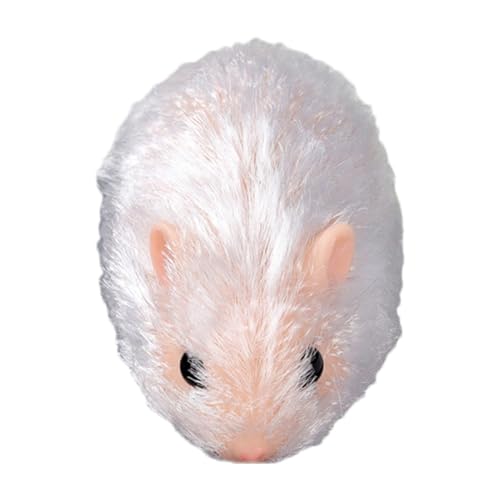 Wuyooprt Wiedergeborene Hamsterpuppe, Mini-Hamsterspielzeug,5-Zoll-Companion Toys Hamster-Reborn-Puppen - Kinder-Hamster-Puppen, Hamster-Tierpuppe, kreativer realistischer Hamster für Wuyooprt Wiedergeborene Hamsterpuppe, Mini-Hamsterspielzeug,5-Zoll-Companion Toys Hamster-Reborn-Puppen - Kinder-Hamster-Puppen, Hamster-Tierpuppe, kreativer realistischer Hamster für von Wuyooprt