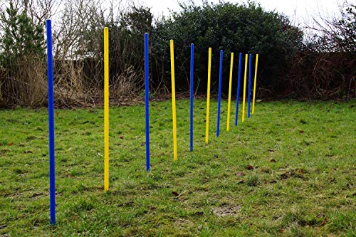 Wuzzmann Trading Agility-ÜBUNGS-Slalom-Set BLAU/GELB Flexible, RUNDE STANGEN Wuzzmann Trading Agility-ÜBUNGS-Slalom-Set BLAU/GELB Flexible, RUNDE STANGEN von Wuzzmann Trading