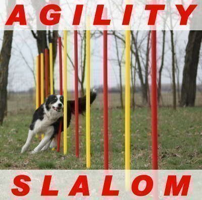 AGILITY-ÜBUNGS-SLALOM-SET ROT/GELB FLEXIBLE,RUNDE STANGEN AGILITY-ÜBUNGS-SLALOM-SET ROT/GELB FLEXIBLE,RUNDE STANGEN von Wuzzmann Trading