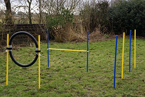 Wuzzmann Trading Agility-Beginner-Set BLAU/GELB Wuzzmann Trading Agility-Beginner-Set BLAU/GELB von Wuzzmann Trading