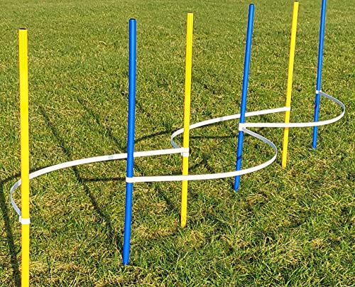 Wuzzmann Agility - Slalom - AUSBILDUNGSSET MIT 4 SLALOMBÖGEN/TRAININGSBÖGEN + 6 SLALOMSTANGEN GELB/BLAU Wuzzmann Agility - Slalom - AUSBILDUNGSSET MIT 4 SLALOMBÖGEN/TRAININGSBÖGEN + 6 SLALOMSTANGEN GELB/BLAU von Wuzzmann