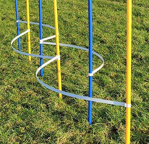 Wuzzmann Agility - Slalom - AUSBILDUNGSSET MIT 4 SLALOMBÖGEN/TRAININGSBÖGEN + 6 SLALOMSTANGEN GELB/BLAU Wuzzmann Agility - Slalom - AUSBILDUNGSSET MIT 4 SLALOMBÖGEN/TRAININGSBÖGEN + 6 SLALOMSTANGEN GELB/BLAU von Wuzzmann
