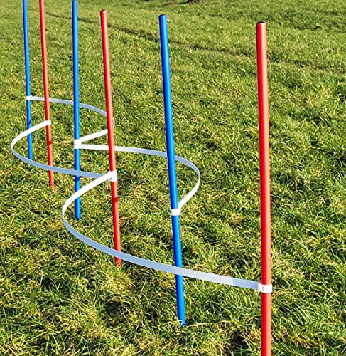 Wuzzmann Agility - Slalom - AUSBILDUNGSSET MIT 4 SLALOMBÖGEN/TRAININGSBÖGEN + 6 SLALOMSTANGEN ROT/BLAU Wuzzmann Agility - Slalom - AUSBILDUNGSSET MIT 4 SLALOMBÖGEN/TRAININGSBÖGEN + 6 SLALOMSTANGEN ROT/BLAU von Wuzzmann