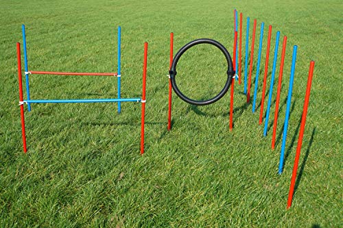 Wuzzmann Agility-ÜBUNGS-ANFÄNGER-Set MIT SPRUNGRING/Slalom/HÜRDEN IN ROT/BLAU Wuzzmann Agility-ÜBUNGS-ANFÄNGER-Set MIT SPRUNGRING/Slalom/HÜRDEN IN ROT/BLAU von Wuzzmann