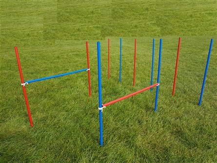 Wuzzmann Agility-ÜBUNGS-HÜRDEN/Slalom-STANGEN-Set IN BLAU/ROT Fun-Agility (6+2) Wuzzmann Agility-ÜBUNGS-HÜRDEN/Slalom-STANGEN-Set IN BLAU/ROT Fun-Agility (6+2) von Wuzzmann