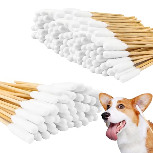 Wvu & Wvo 100 Stück Wattestäbchen für Hunde, Hunde Wattestäbchen Ohrreiniger, Ohrenstäbchen Hunde, Ohrreiniger Wattestäbchen für Hunde, Katzen, Pferde, Zahnreinigung, Ohrenreinigung, 2 Größe von Wvu & Wvo