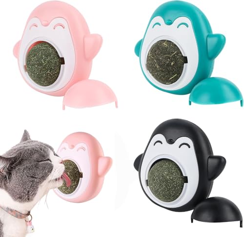 Wvu & Wvo 3 Stück Katzenminze Balls Spielzeug für Katze, 360° Katzenminze Wandroller für Katzenlecken mit Aufbewahrungsdeckel, Katzenminze Spielzeug, Zahnreinigung Dentales essbares Kätzchenspielzeug Wvu & Wvo 3 Stück Katzenminze Balls Spielzeug für Katze, 360° Katzenminze Wandroller für Katzenlecken mit Aufbewahrungsdeckel, Katzenminze Spielzeug, Zahnreinigung Dentales essbares Kätzchenspielzeug von Wvu & Wvo